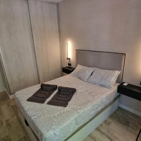 Privat bolig Centrica De Lujo Gv 2